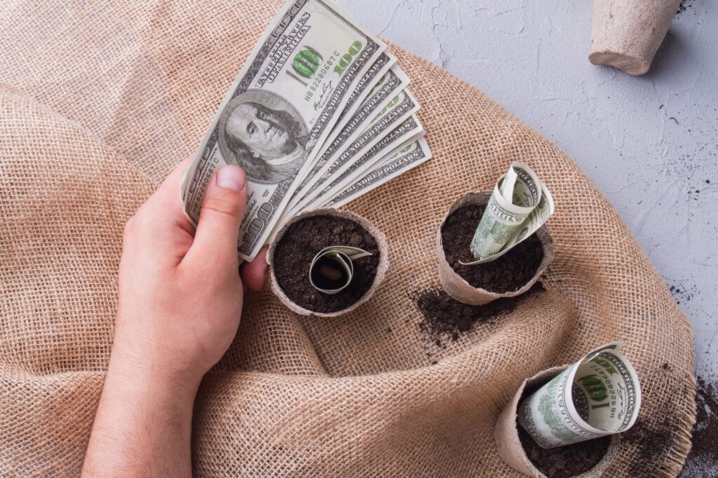 Wie schützt man Investitionen vor Inflation und Krisen?
